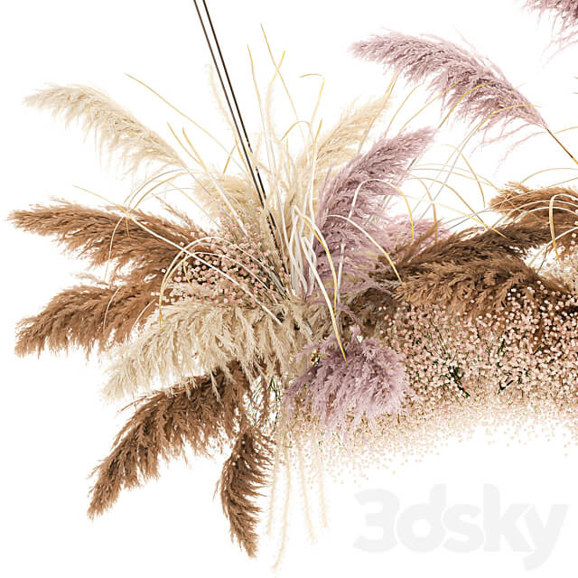 Bouquet 200. pampas grass dried flower reed suspension decoration branches dry decor natural decor dried flower decoration wedding eco design 3D Models