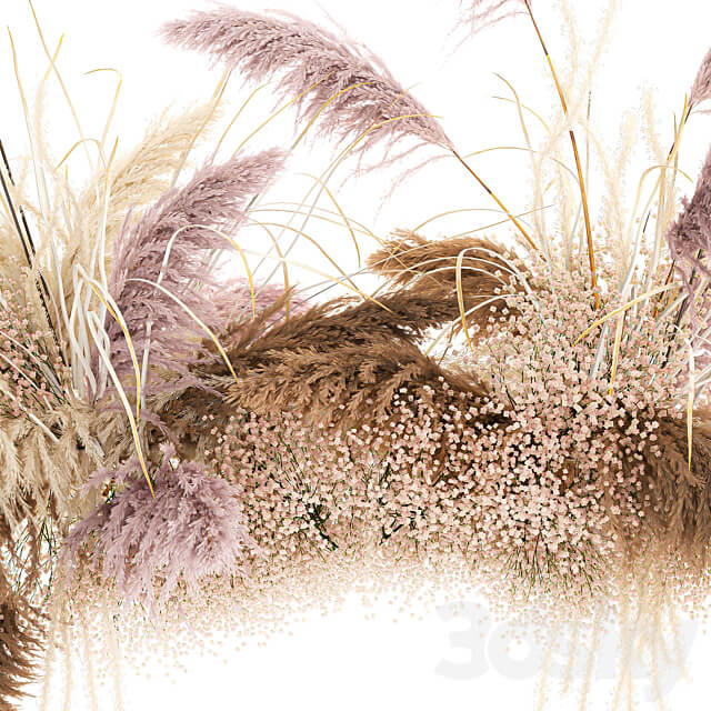 Bouquet 200. pampas grass dried flower reed suspension decoration branches dry decor natural decor dried flower decoration wedding eco design 3D Models
