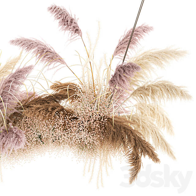 Bouquet 200. pampas grass dried flower reed suspension decoration branches dry decor natural decor dried flower decoration wedding eco design 3D Models