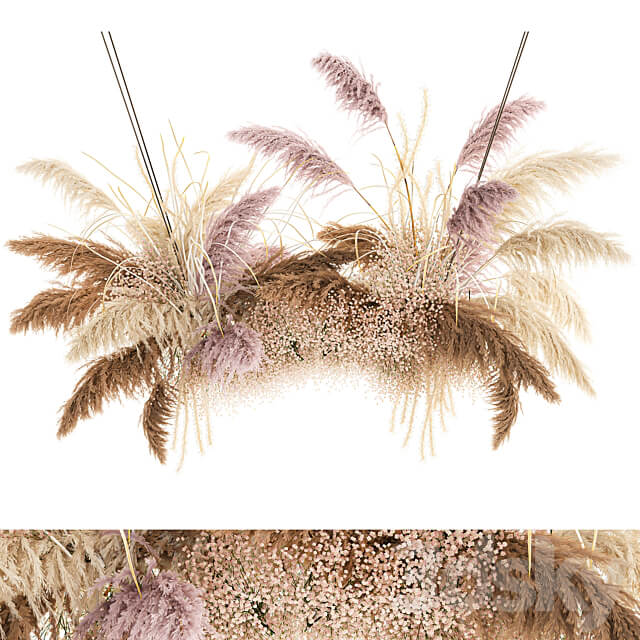 Bouquet 200. pampas grass dried flower reed suspension decoration branches dry decor natural decor dried flower decoration wedding eco design 3D Models