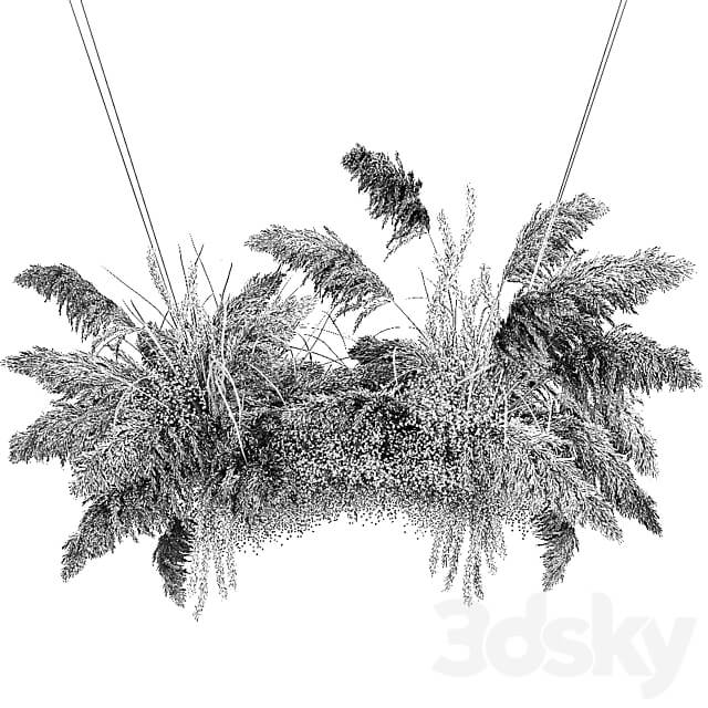 Bouquet 200. pampas grass dried flower reed suspension decoration branches dry decor natural decor dried flower decoration wedding eco design 3D Models
