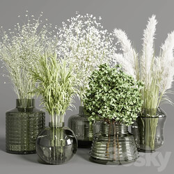collection Plants Bouquet Indoor glass vase 3D Models 3DSKY 