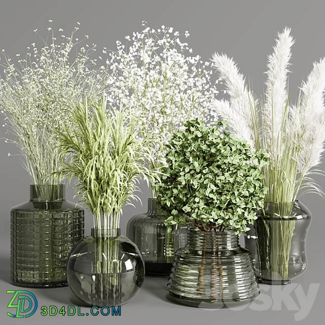 collection Plants Bouquet Indoor glass vase 3D Models 3DSKY