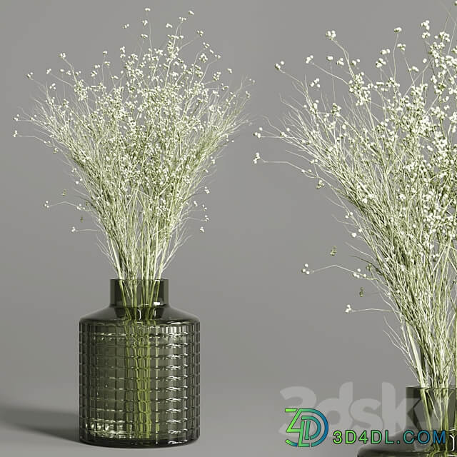 collection Plants Bouquet Indoor glass vase 3D Models 3DSKY