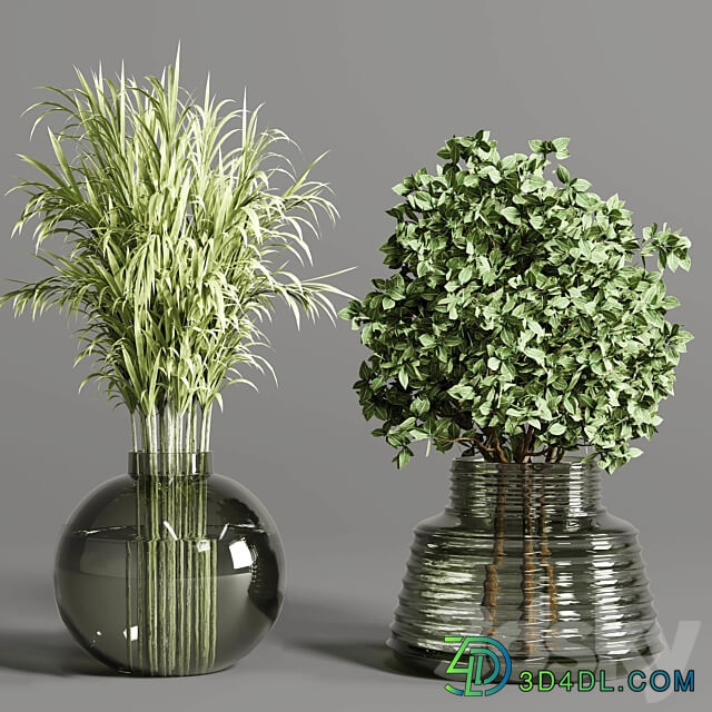 collection Plants Bouquet Indoor glass vase 3D Models 3DSKY