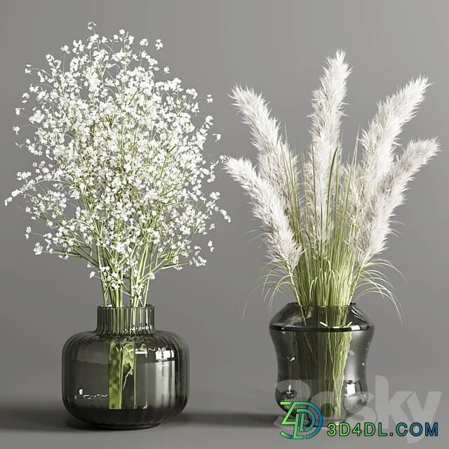 collection Plants Bouquet Indoor glass vase 3D Models 3DSKY