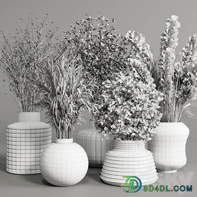 collection Plants Bouquet Indoor glass vase 3D Models 3DSKY