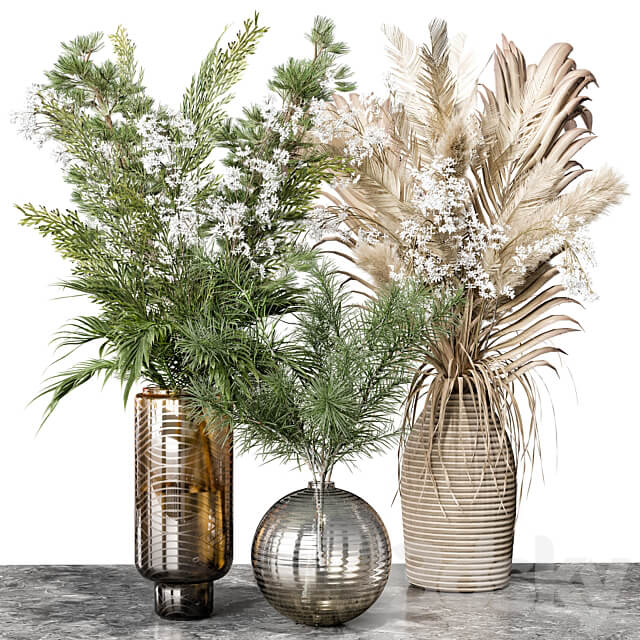 Indoor Plant 04 3D Models 3DSKY