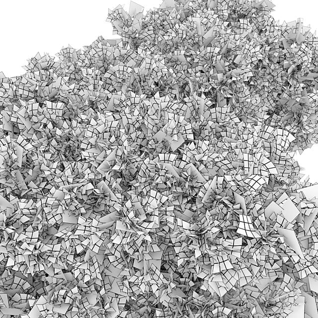 Stoebe kilimandscharica 3D Models 3DSKY