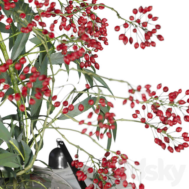 Decorative set with berry bouquet 031 3D Models 3DSKY
