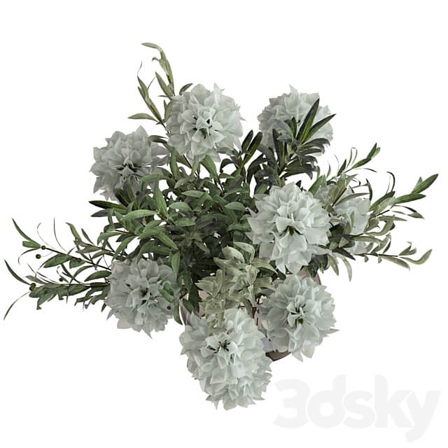 Olive bouquet with white flowers 3D Models 3DSKY