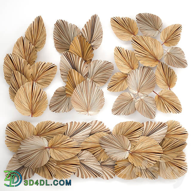 Bouquet 228. dried flower palm leaf dry wall decor branches dry decor natural eco design dried flower installation 3D Models