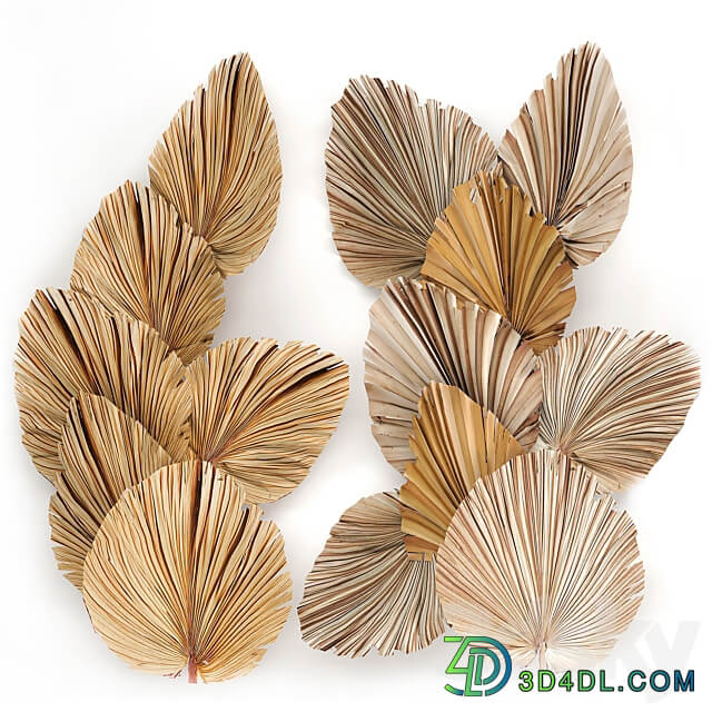 Bouquet 228. dried flower palm leaf dry wall decor branches dry decor natural eco design dried flower installation 3D Models