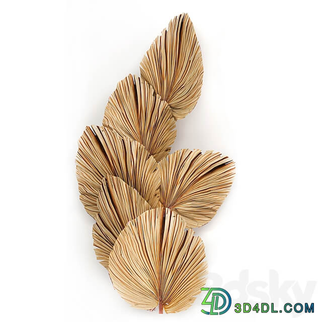Bouquet 228. dried flower palm leaf dry wall decor branches dry decor natural eco design dried flower installation 3D Models