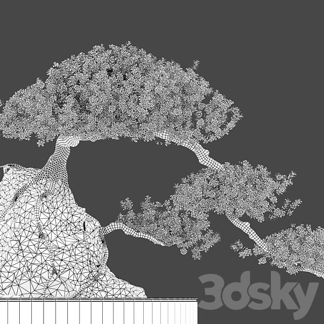 Bonsai plant 04 3D Models 3DSKY