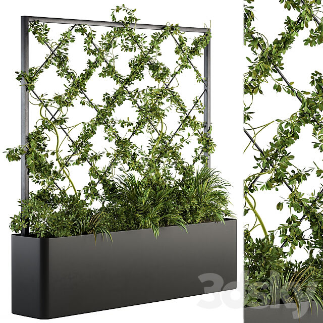 Vertical Garden Outdoor Green Wall 39 Fitowall 3D Models 3DSKY