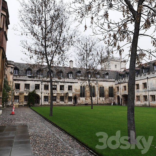 Ash tree Fraxinus 6 3D Models 3DSKY