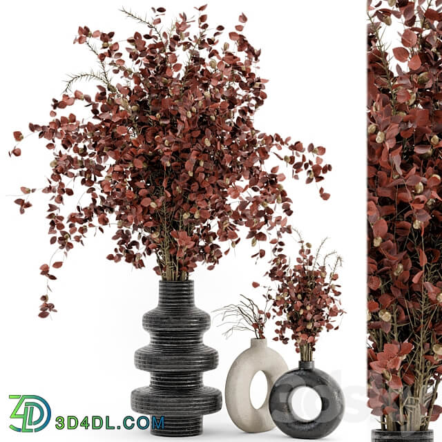 Indoor Dry Plants in rusty Concrete Pots Set 509 3D Models