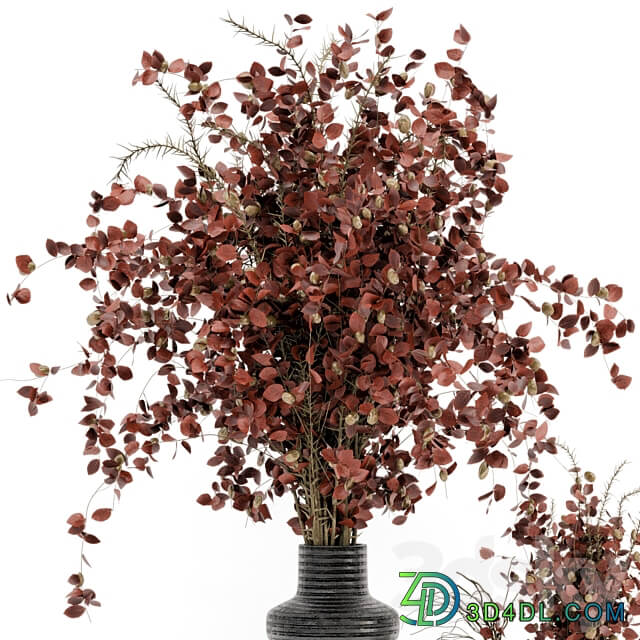 Indoor Dry Plants in rusty Concrete Pots Set 509 3D Models