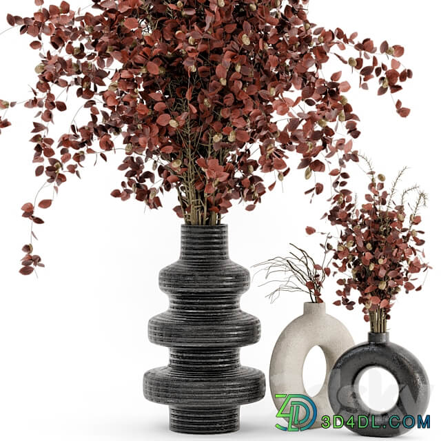 Indoor Dry Plants in rusty Concrete Pots Set 509 3D Models