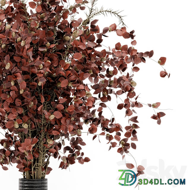 Indoor Dry Plants in rusty Concrete Pots Set 509 3D Models