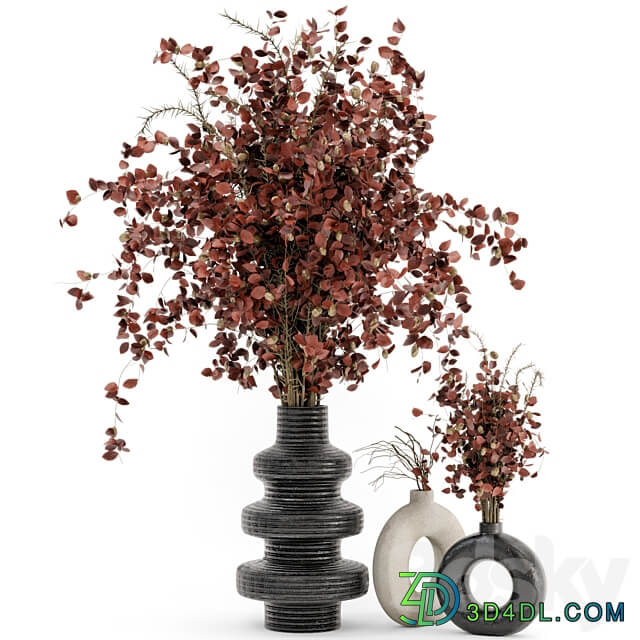 Indoor Dry Plants in rusty Concrete Pots Set 509 3D Models