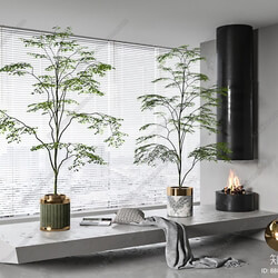3d Tree Plant Model 413 By Kha Vi 