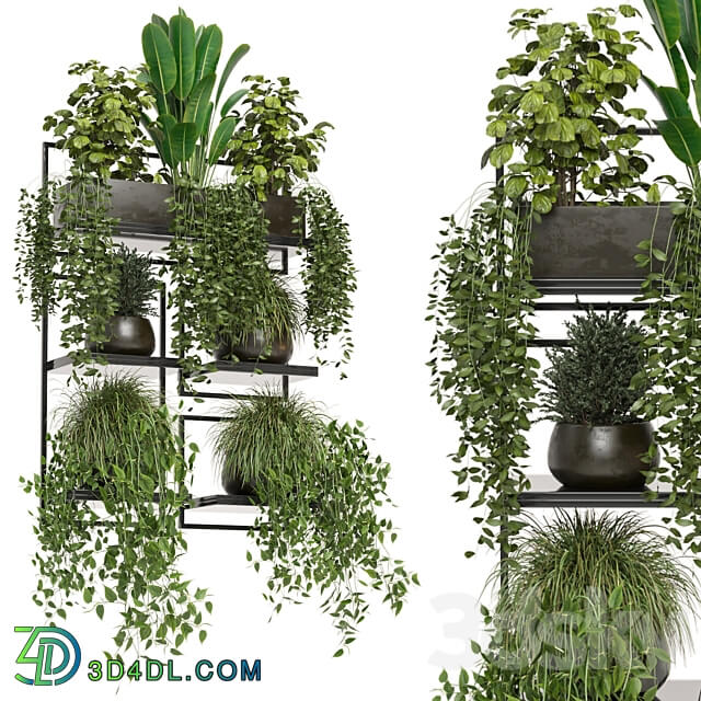 indoor plants in rusty concrete pot on metal shelf Set 207 3D Models