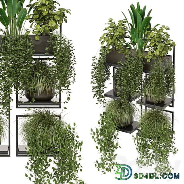 indoor plants in rusty concrete pot on metal shelf Set 207 3D Models