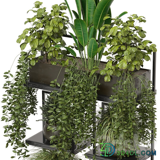 indoor plants in rusty concrete pot on metal shelf Set 207 3D Models