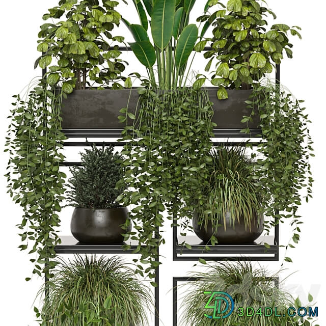 indoor plants in rusty concrete pot on metal shelf Set 207 3D Models
