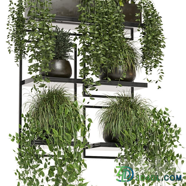 indoor plants in rusty concrete pot on metal shelf Set 207 3D Models