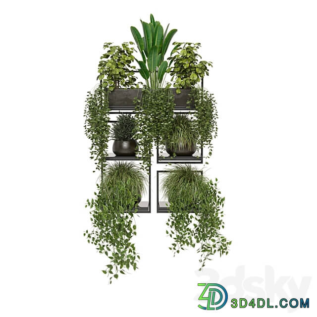 indoor plants in rusty concrete pot on metal shelf Set 207 3D Models