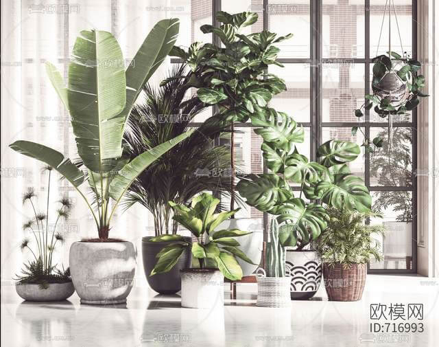 Interiors zLXwEF8Q