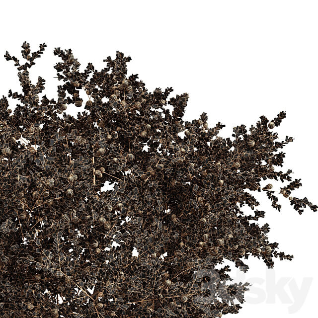 fruit trees orange and apple 3D Models