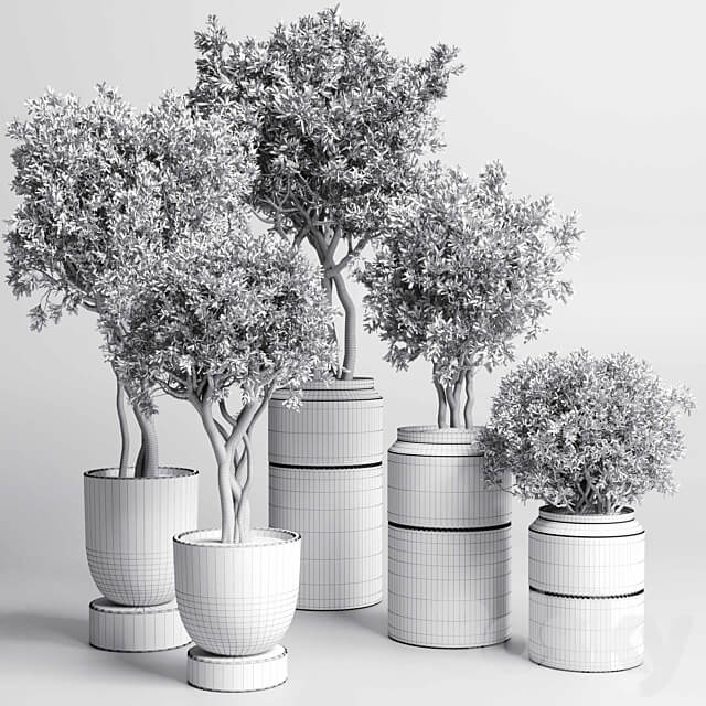 Collection Indoor plant 189 concrete dirt vase pot Tree 3D Models