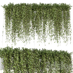Hanging Plants in rusty Concrete Pot Set 509 3D Models 