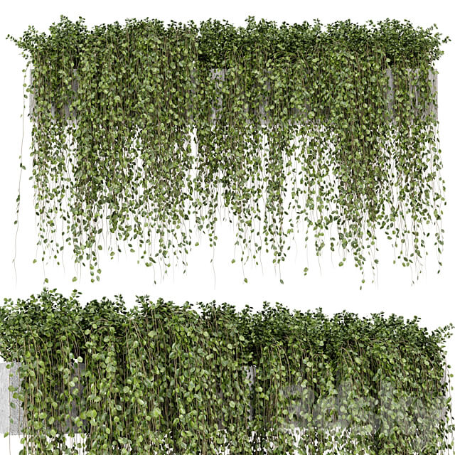 Hanging Plants in rusty Concrete Pot Set 509 3D Models