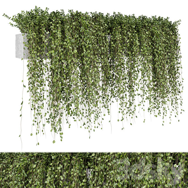 Hanging Plants in rusty Concrete Pot Set 509 3D Models