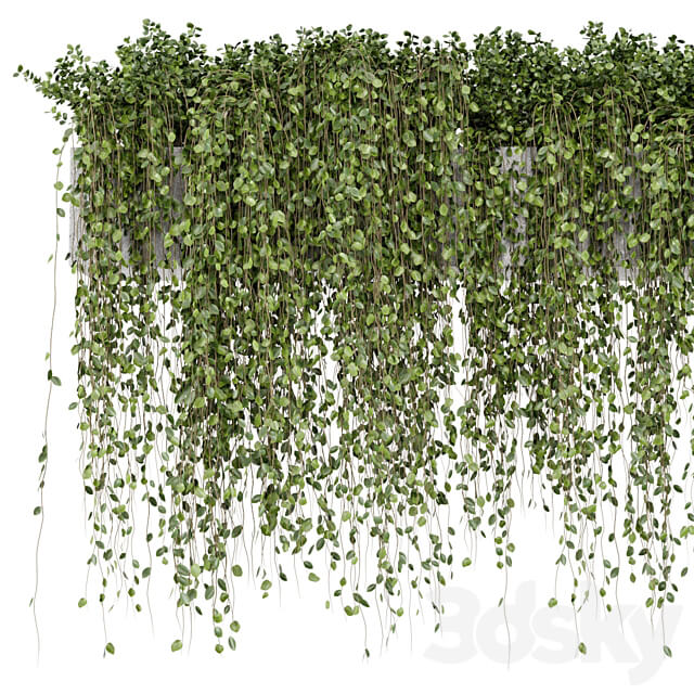 Hanging Plants in rusty Concrete Pot Set 509 3D Models
