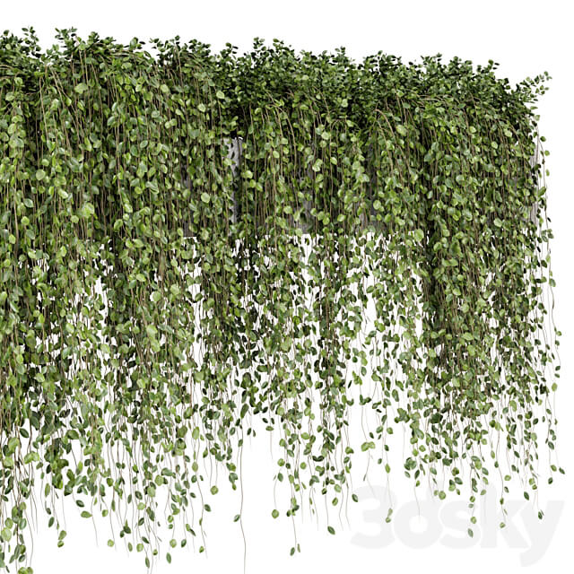 Hanging Plants in rusty Concrete Pot Set 509 3D Models