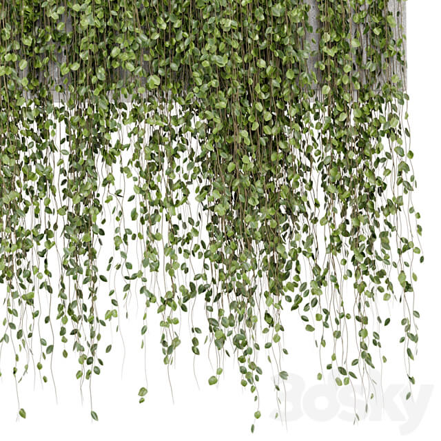 Hanging Plants in rusty Concrete Pot Set 509 3D Models