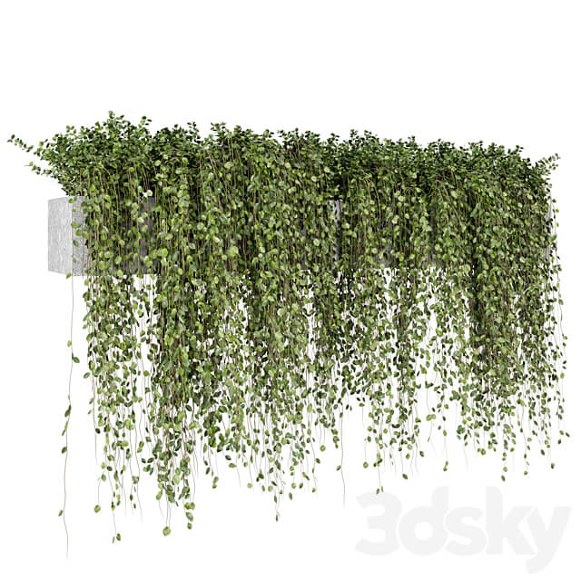 Hanging Plants in rusty Concrete Pot Set 509 3D Models