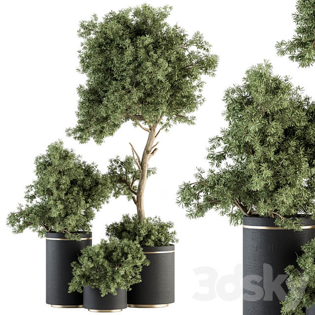 indoor Plant Set 344 Tree and Plant Set in pot 3D Models