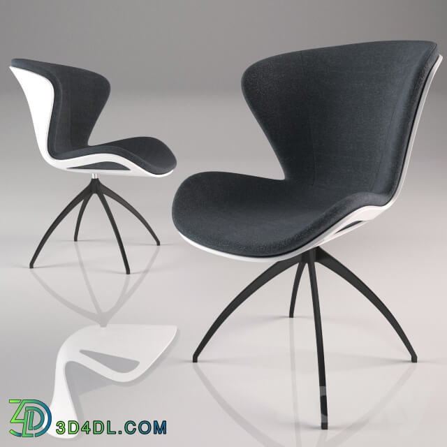 Mercedes Benz Dining Chair