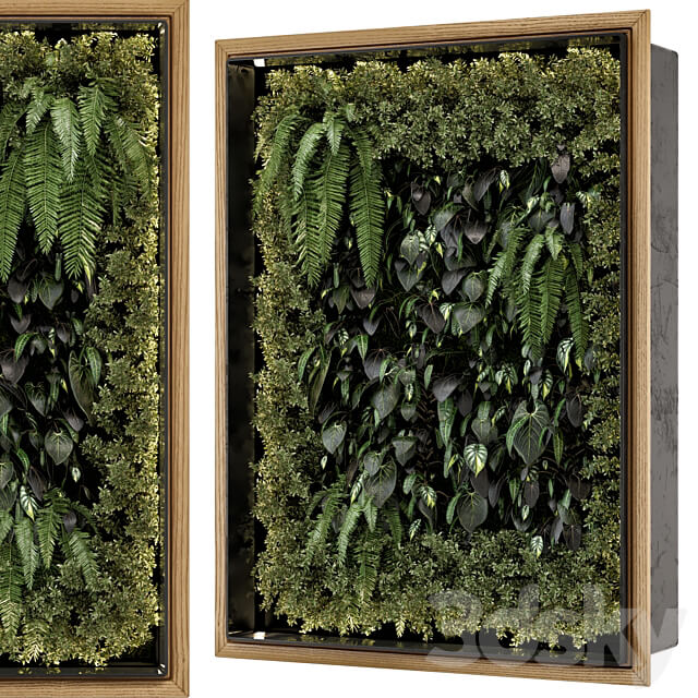 Indoor Wall Vertical Garden in Wooden Base Set 523 Fitowall 3D Models