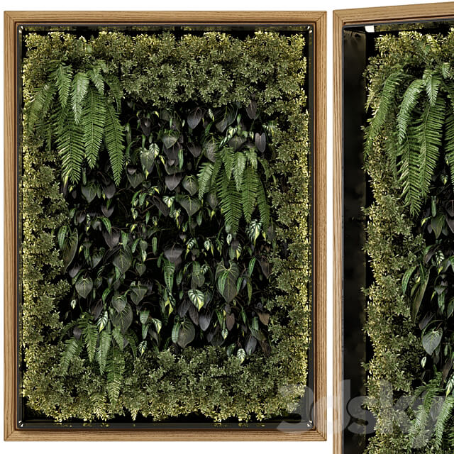 Indoor Wall Vertical Garden in Wooden Base Set 523 Fitowall 3D Models