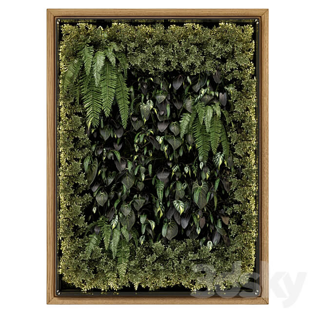 Indoor Wall Vertical Garden in Wooden Base Set 523 Fitowall 3D Models