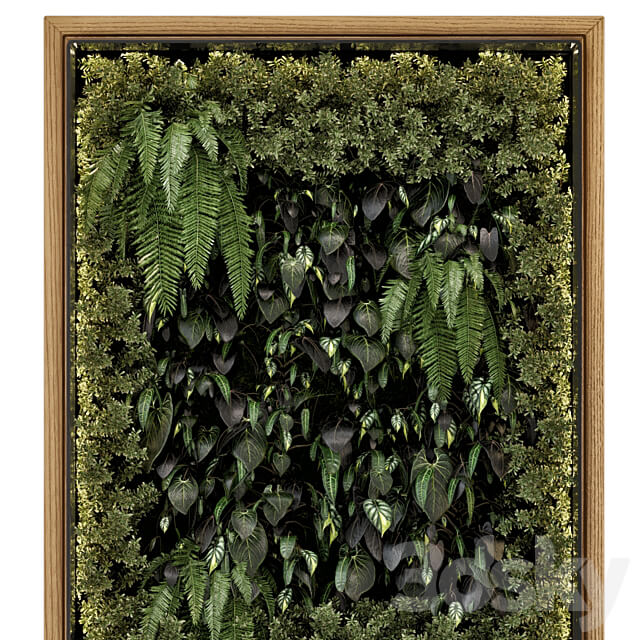 Indoor Wall Vertical Garden in Wooden Base Set 523 Fitowall 3D Models