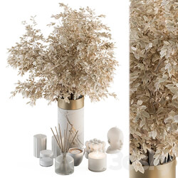 white and Gold Decorative Set with Dried plant Set 106 3D Models 